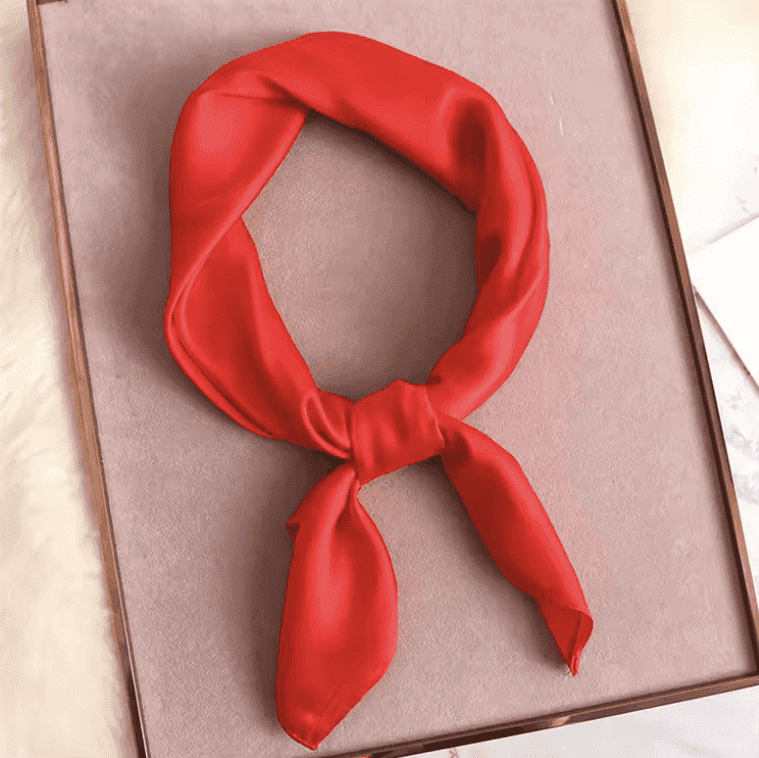 foulard en soie dans une coiffure protectrice simple